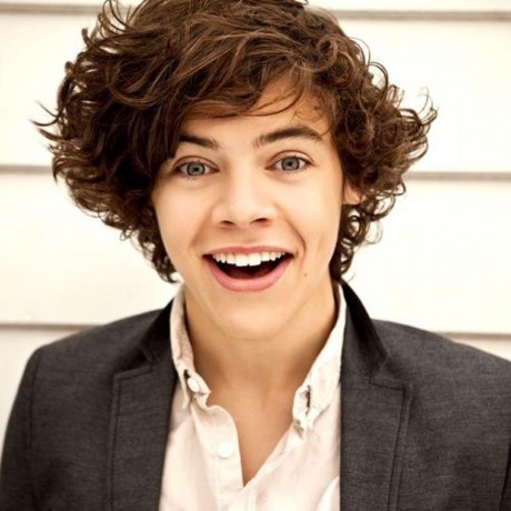 Harry Styles Direction on Harry Styles